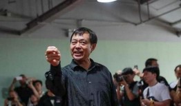 马保国最新爆料,揭秘江湖传闻背后的真相